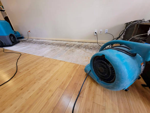 Reliable Emergency Water Removal contractor in Chesterfield, IN by Hirex Water Damage