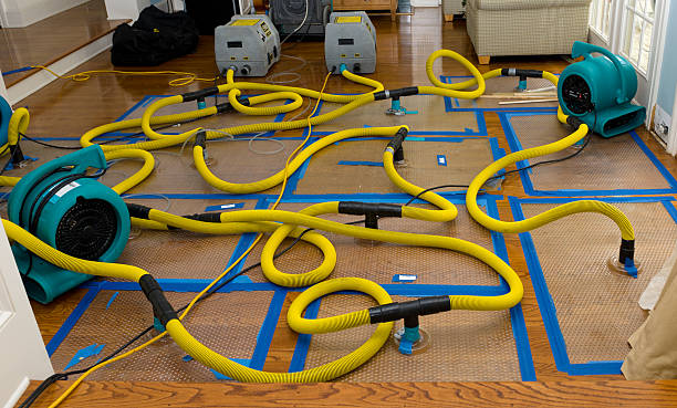 Professional Emergency Water Removal technician working in Chesterfield, IN